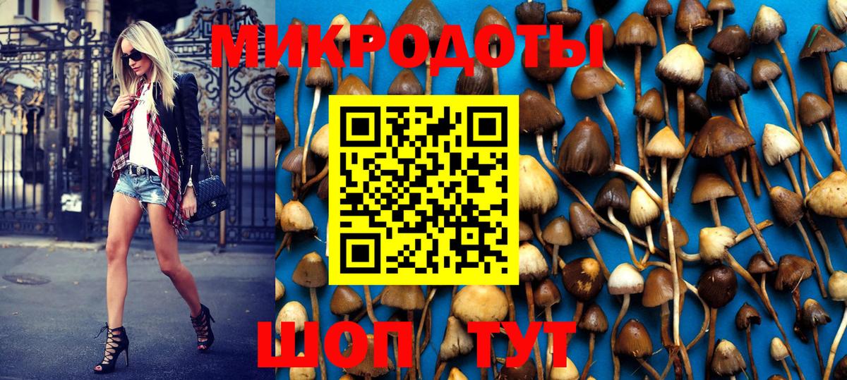 Галлюциногенные грибы GOLDEN TEACHER Сокол