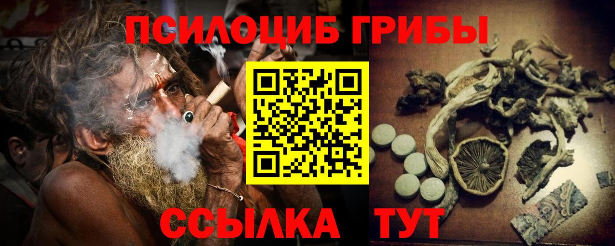 Сокол  Псилоцибиновые грибы GOLDEN TEACHER  Вход с VPN 